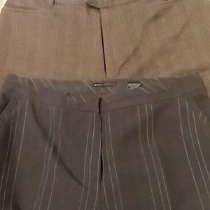 Size 6 dress pant bundle